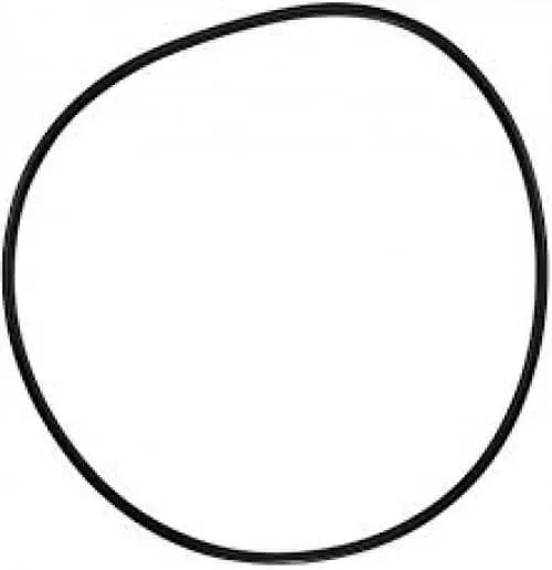 Pentair O-Ring C-18 | 071433 by Pentair