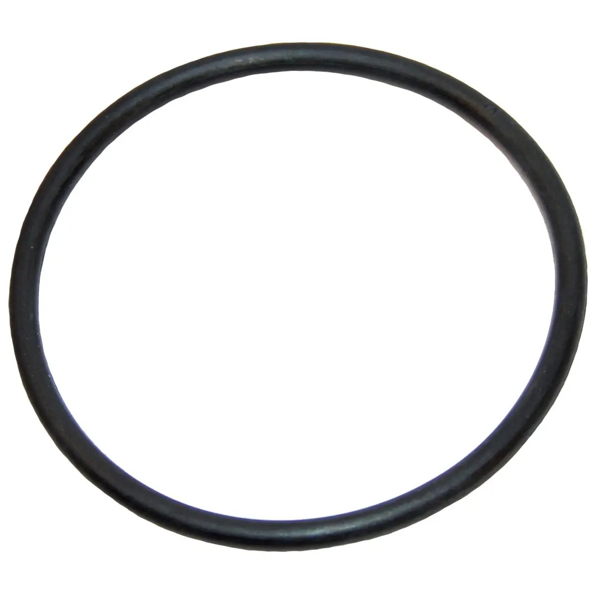 Polaris Feed Pipe O-Ring | 9-100-5132 by Polaris