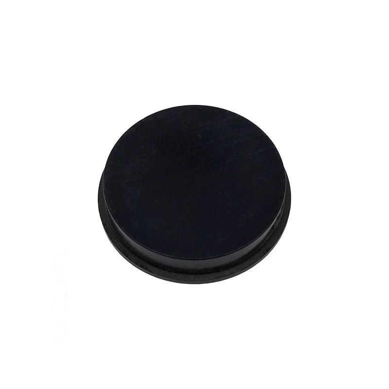 Pentair 1-1/2" Plug R172225X by Pentair
