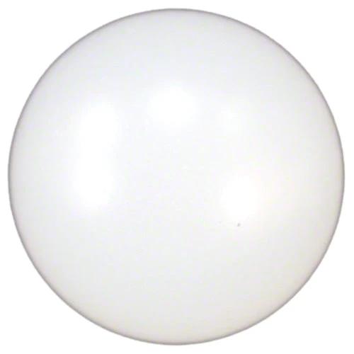 Pentair HC Series Check Ball R172435 by Pentair