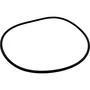 All Seals - Replacement Tank O-Ring for Sta-Rite Posi-Flo by All Seals