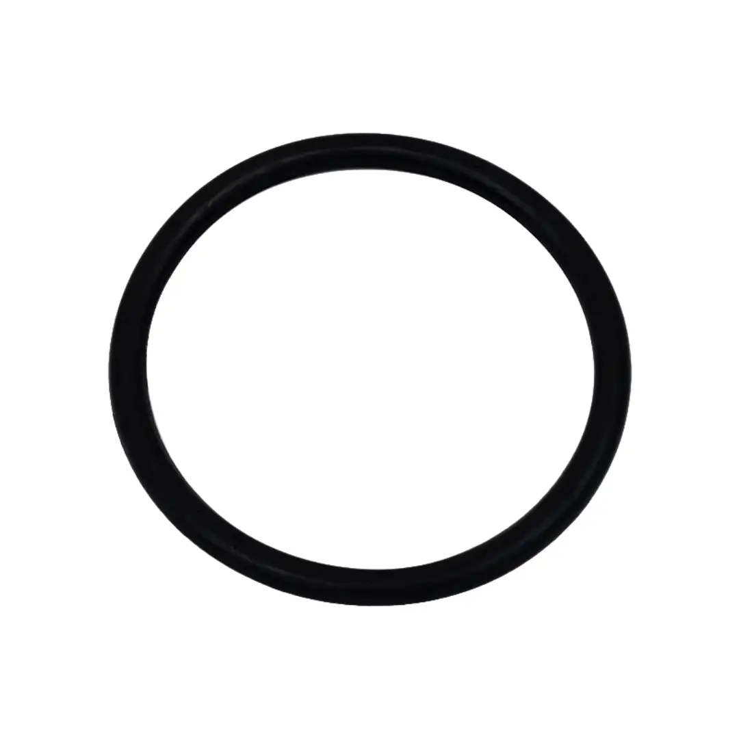 Solaxx / PureChlor O-Ring GNR00009 by Solaxx