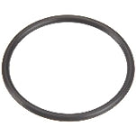 Pentair O-Ring U9-226Z - Duckies Pool Supply
