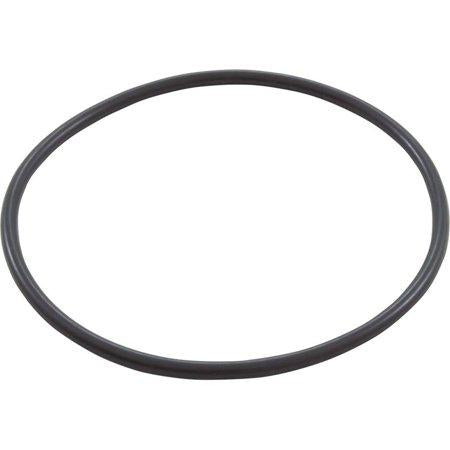 Pentair O-Ring Diffuser 350037 - Duckies Pool Supply