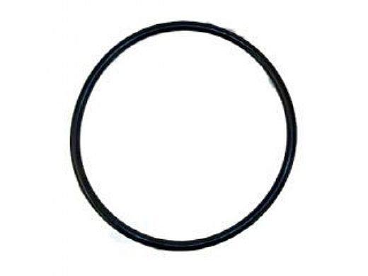 Pentair O421 Challenger Diffuser O Ring For Waterfall Pump