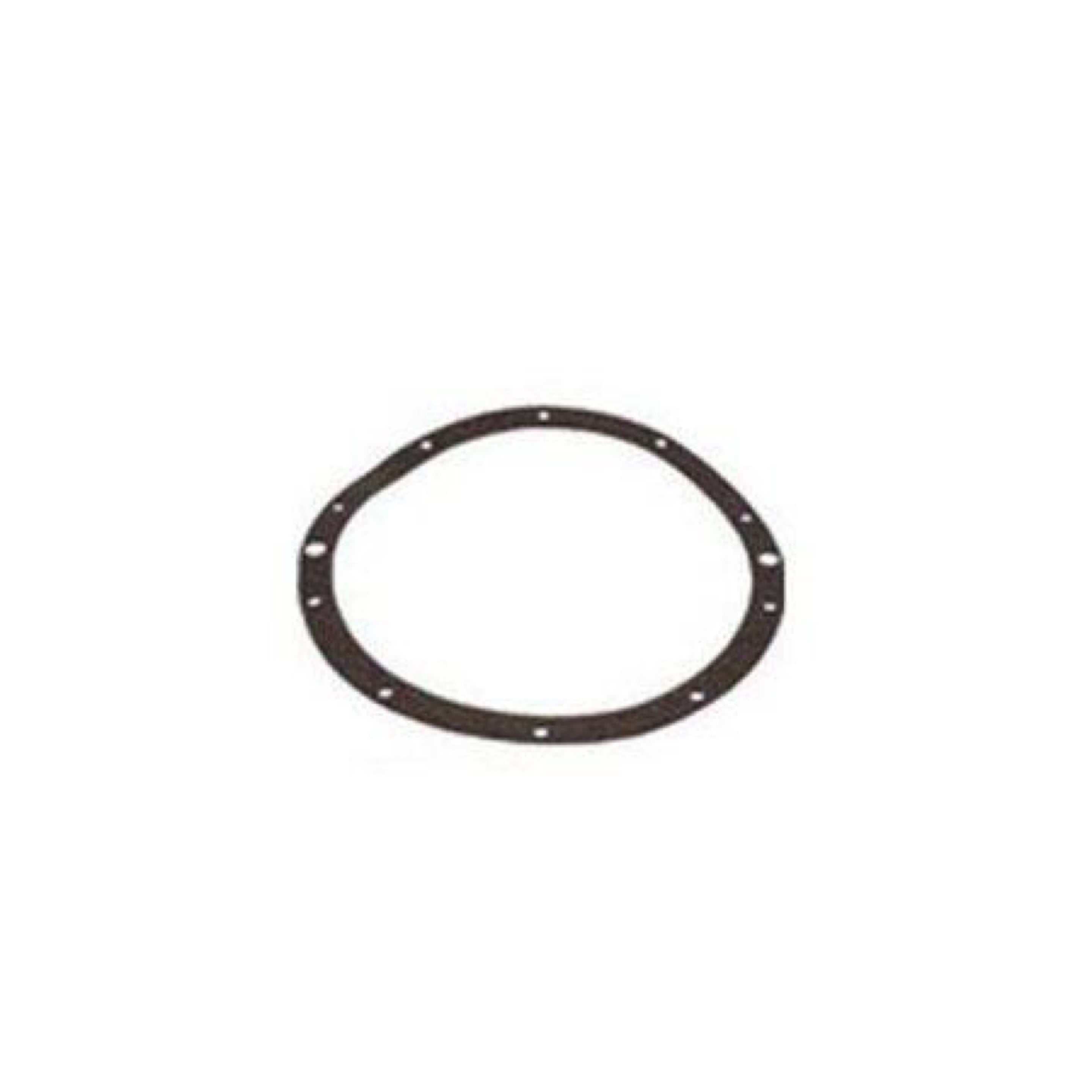 Aladdin G-110P 10-Hole Vinyl Light Niche Gasket - Duckies Pool Supply