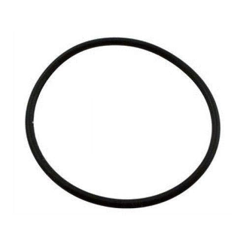 Pentair 355331Z O-Ring - Duckies Pool Supply