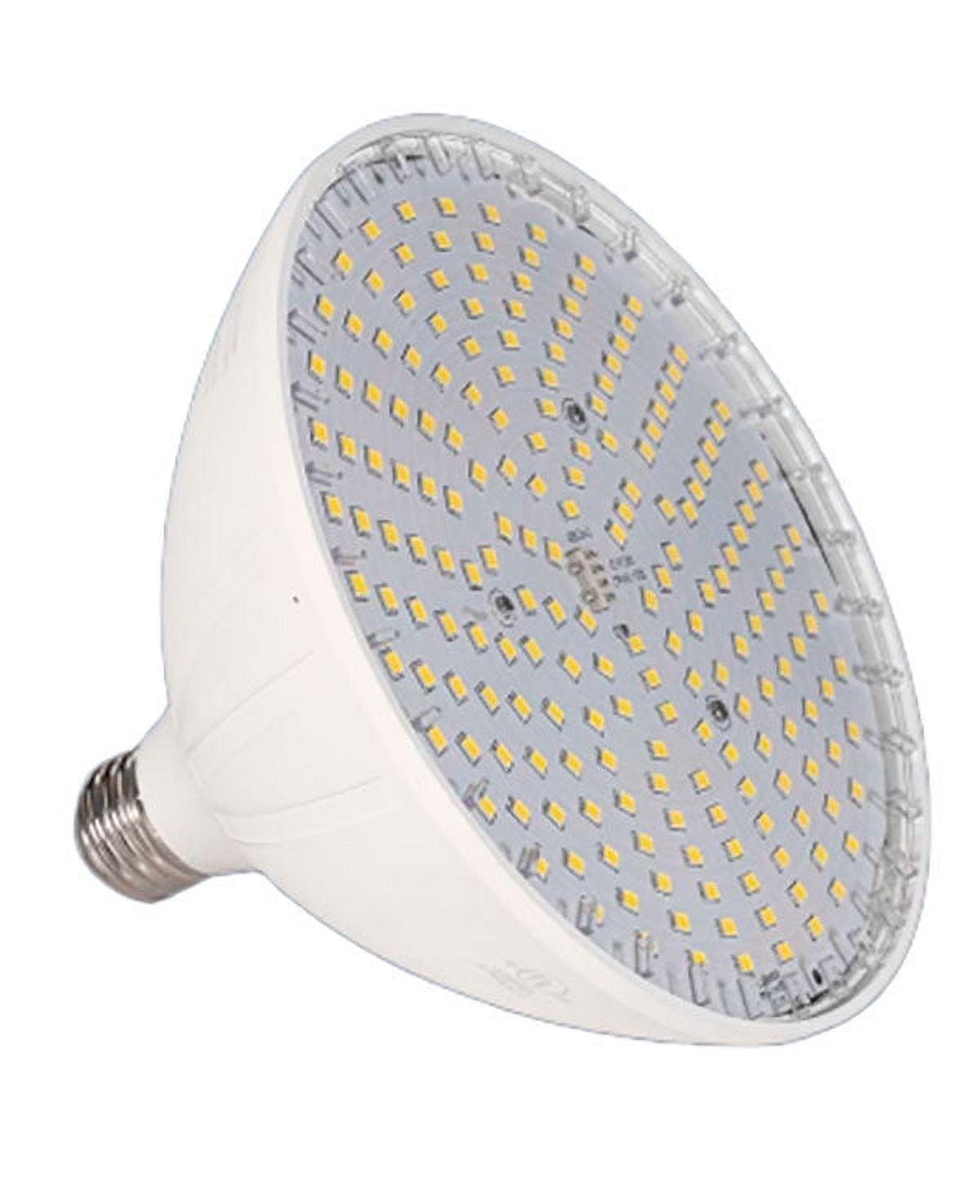 Blue Square Vivid 360™ White LED Replacement Pool Bulb 35W 120V