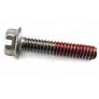 Pentair Impeller Locking Screw 355389